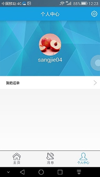 中储智运船运版app4