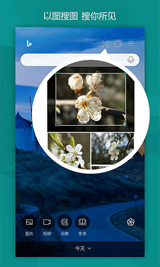 新必应app4