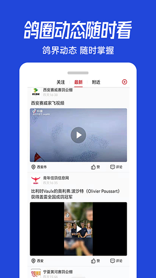 青鸽网app4