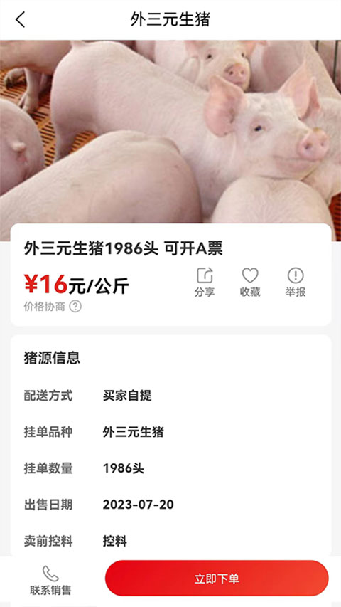国家生猪市场app4