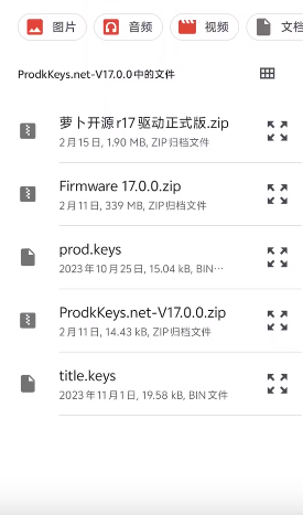 安兔兔switch模拟器(Nyushu Emulator)4