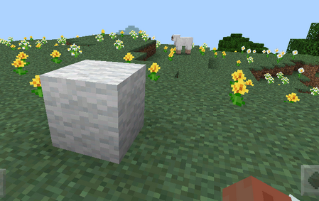 我的世界Minecraft袖珍版4