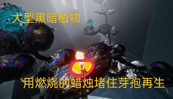 Sky光遇测试版4