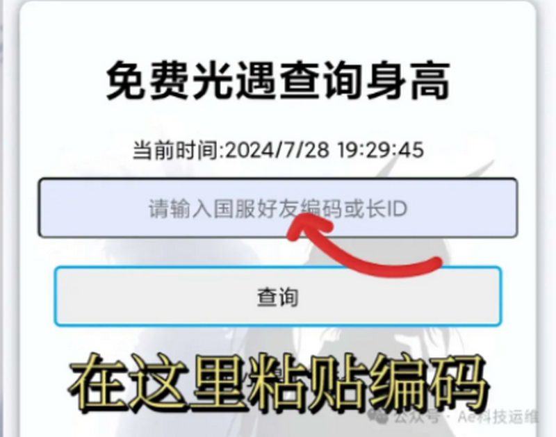 光遇隐君子测身高工具4