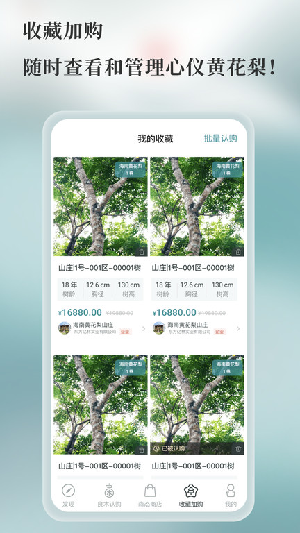 良木森林app4