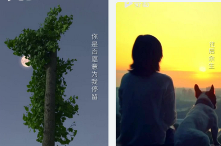 音画app官方最新版4