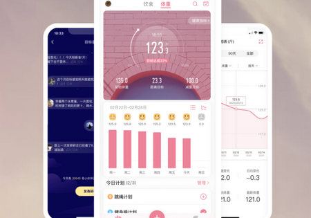 体重小本app官方版4