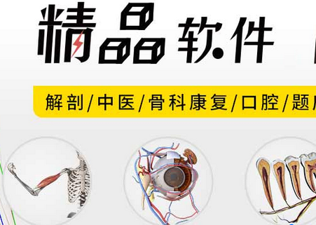 3Dbody解剖学app最新版4