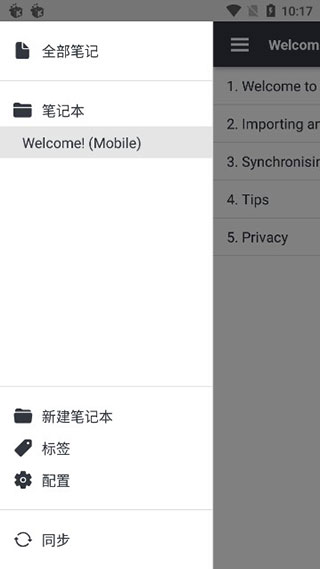 Joplin高级版4