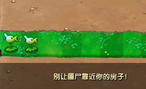 植物大战僵尸寒冰版4