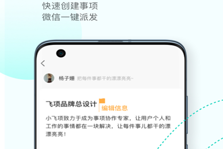 飞项app4