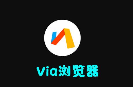 Via浏览器国内版4