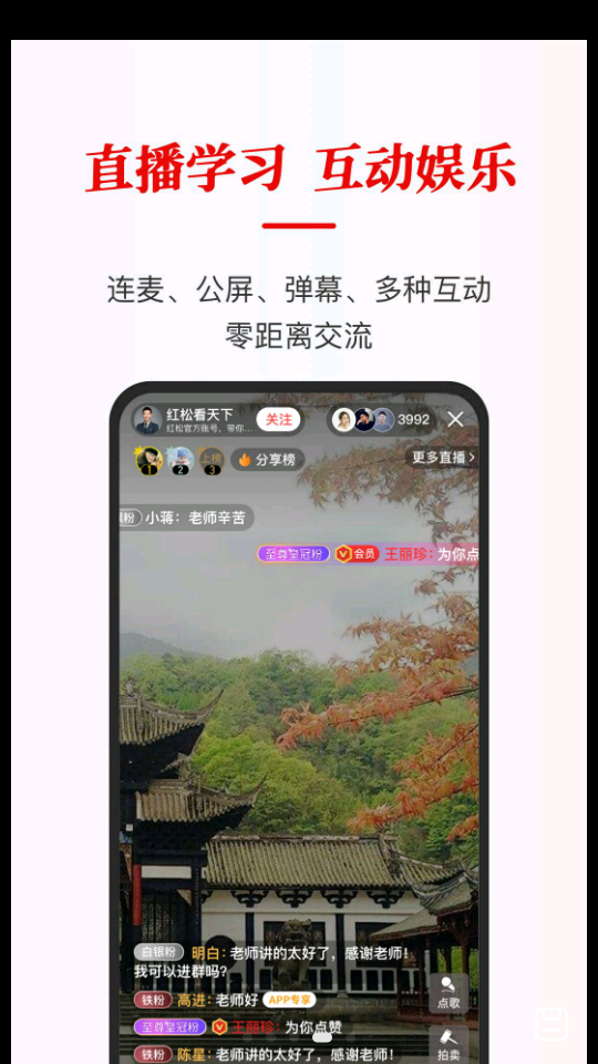 红松4