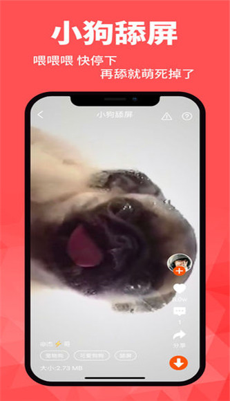 壁纸菌app4