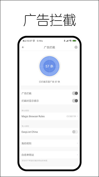 神奇浏览器app4
