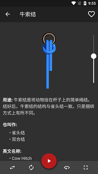 Knots 3D结绳最新版4