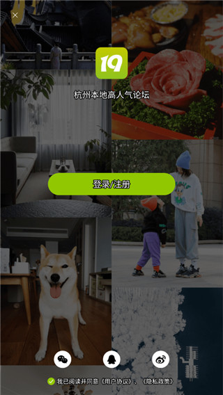 19楼手机版4