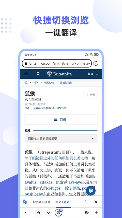 狐猴浏览器app4