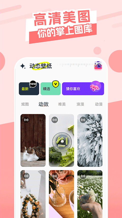 主题库app4