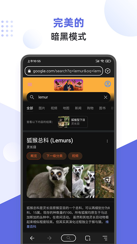 狐猴浏览器app4