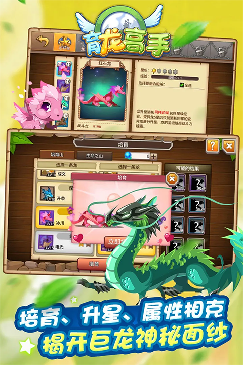 育龙高手官方正版4