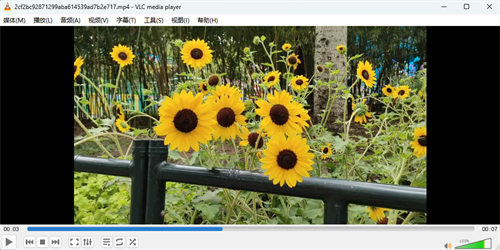 VLC Media Player4