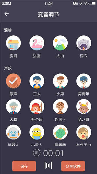 专业变声器4