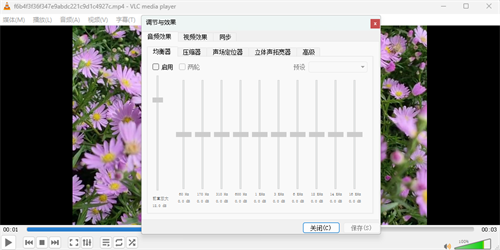 VLC Media Player4
