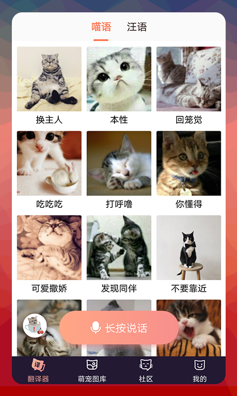 猫语翻译器app4